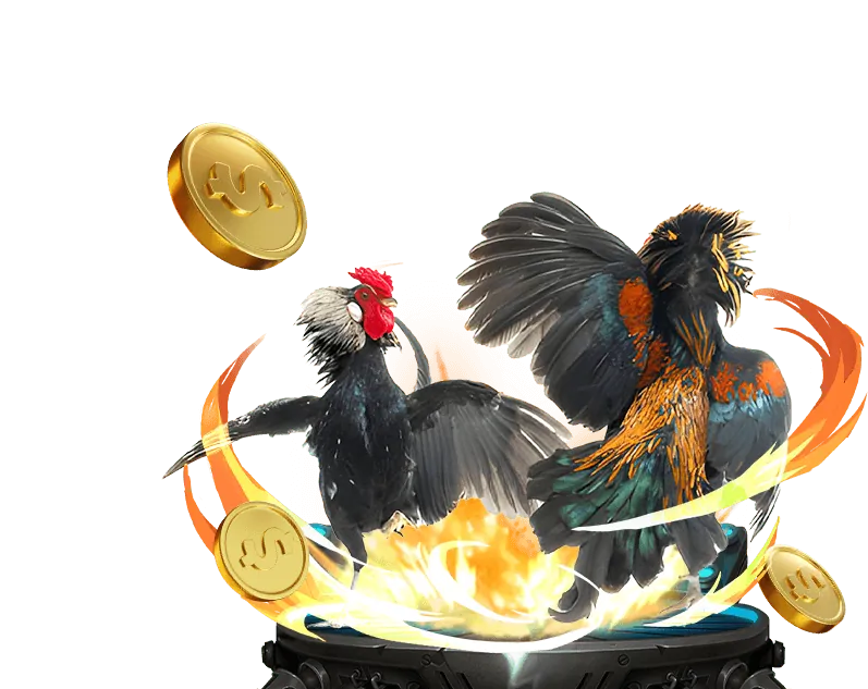 Chiến lược cá cược thể thao TP88